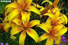 День прошёл..