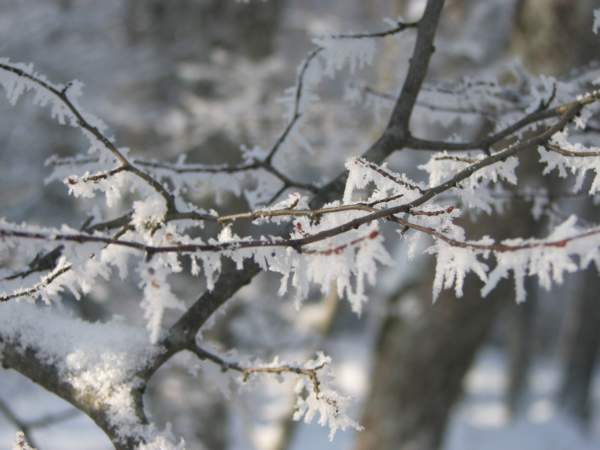 Зимний этюд