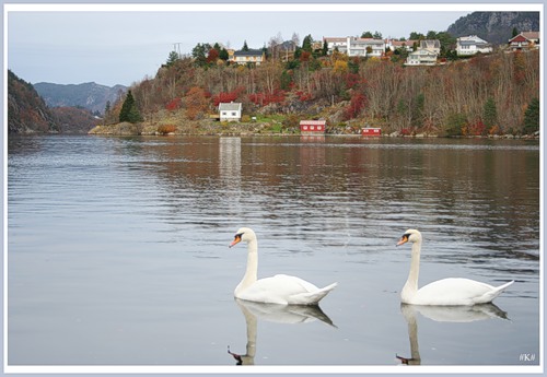 Как плыла, плыла лебёдушка...