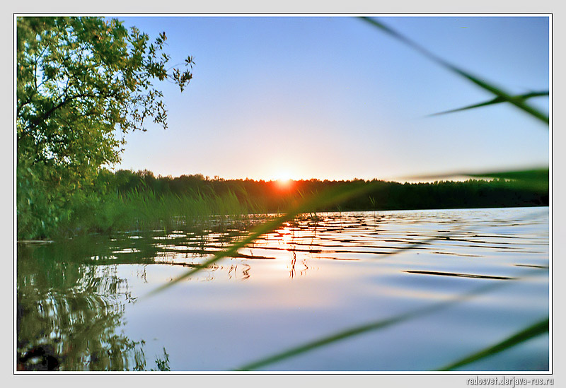 Живая вода озера. Озера в Новосибирской области пять озер. Озеро Чаны Алтайский край. Озеро Окунево Омская область. Окунево Омская область пять озер.