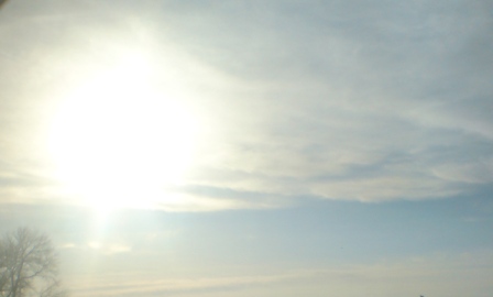 Солнцеворот