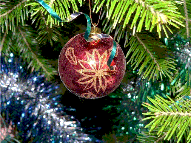 С Новым 2009 Годом!