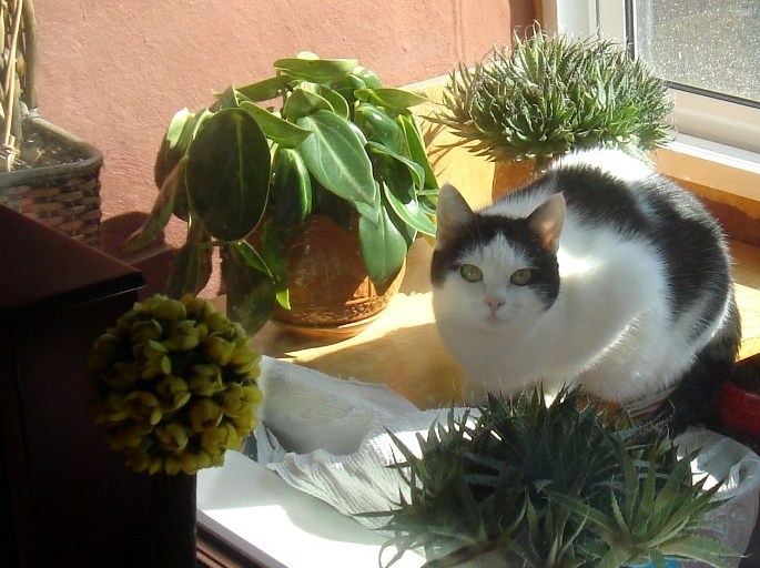 Дети ведь не виноваты...