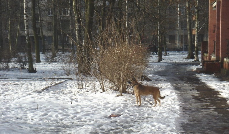 Секрет