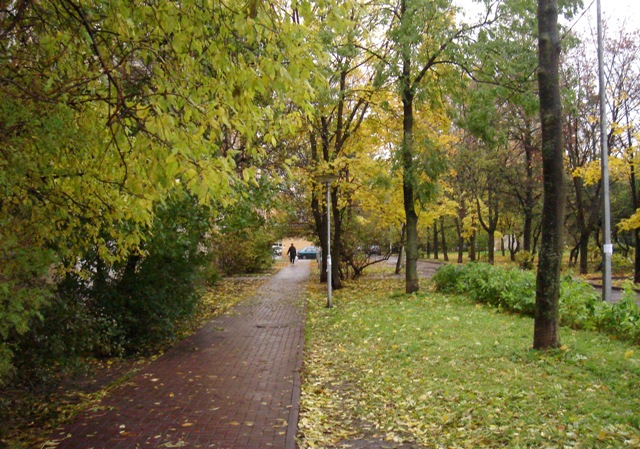 Улица Зины Портновой