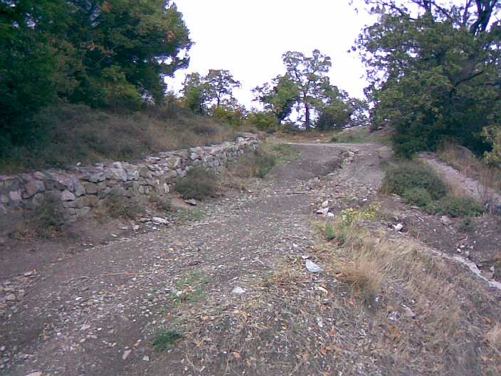 мы сами камни выбираем