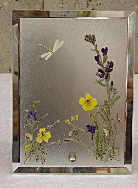 Гербарий любви-ЯС