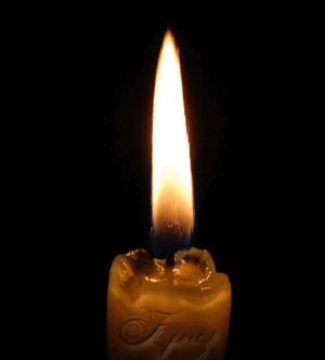 И тебе стихами я отвечу...