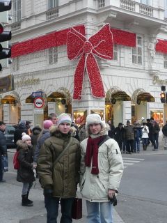 Новогодняя Вена