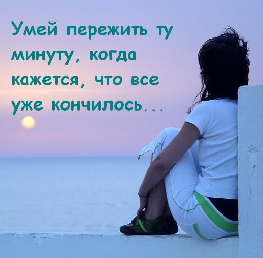 Зебра