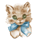 Мой котёнок, не грусти...