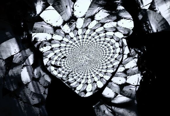 Фотокарточки