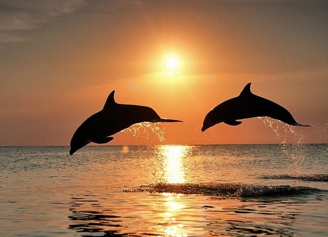 Двое из Рая