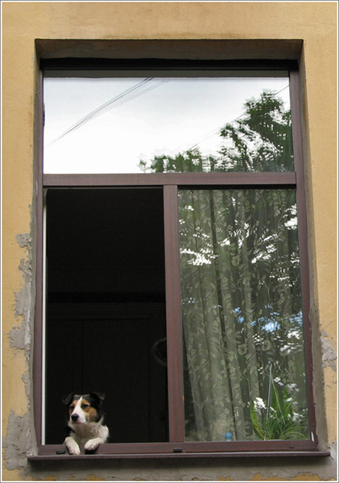 Об одиночестве