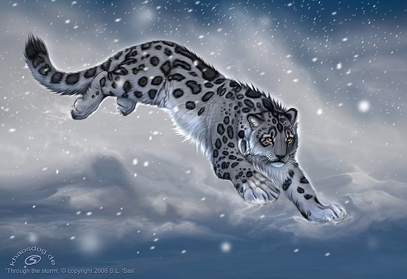 В чудеса, люди, верьте!