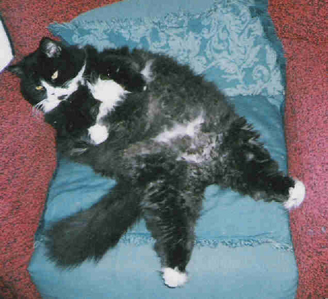 На Черно-белый конкурс