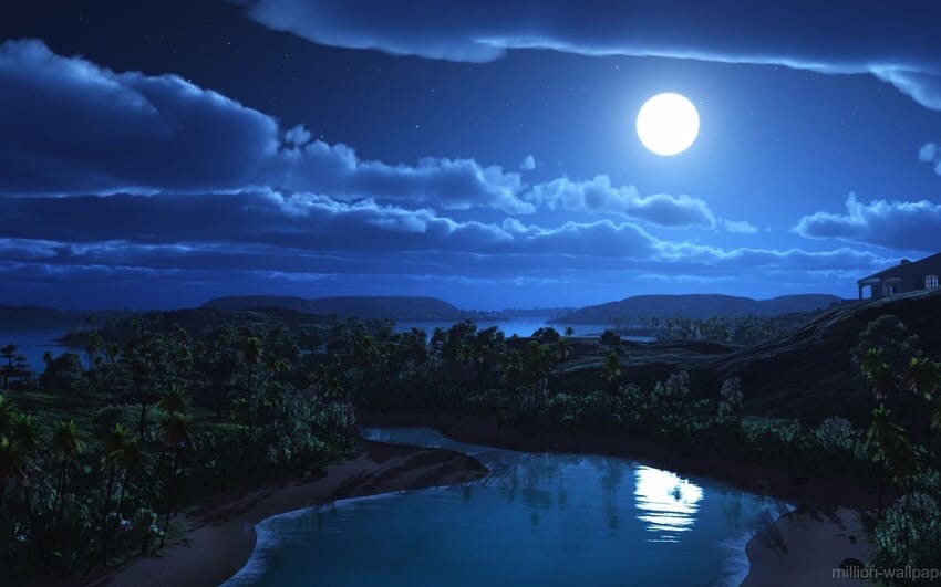 Что за тишина!