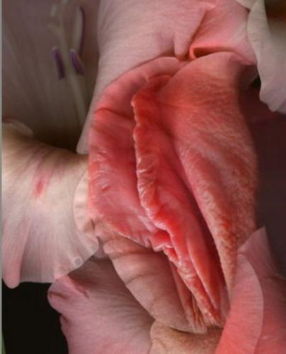 ***