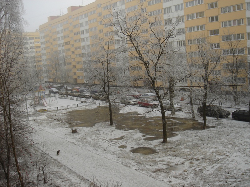 Монолог председателя ЖСК