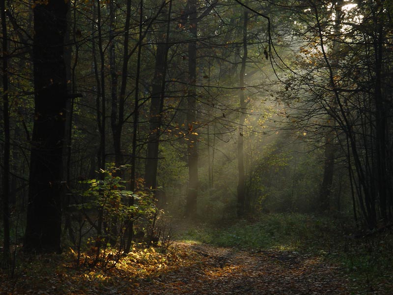 Прощальный поцелуй...