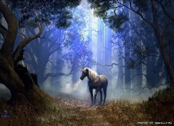 Совет друга. часть 2-ая