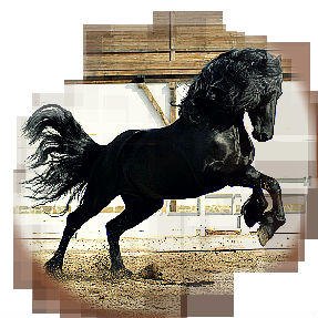 Каурый конь