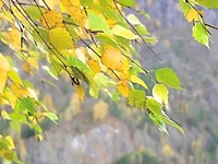 Уходит Любовь..