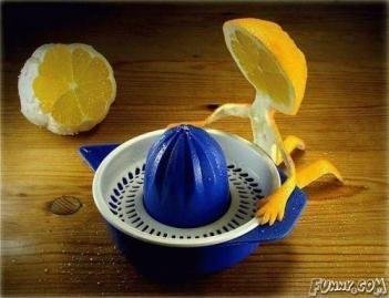 Сломанная ветка