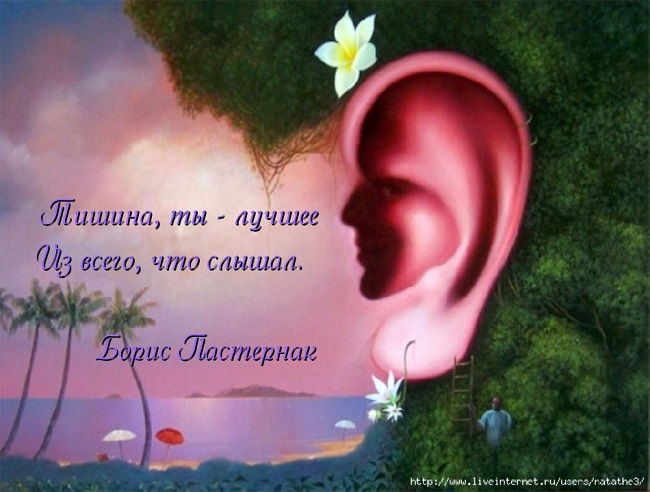 Любитель тишины