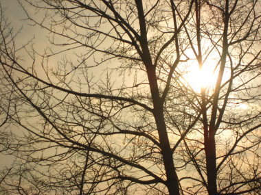 Мимолётное