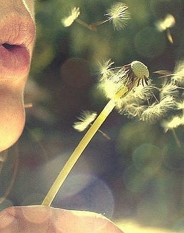 Откровенность