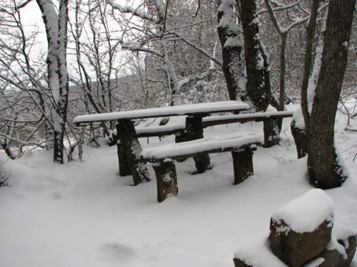 Мечты о весне