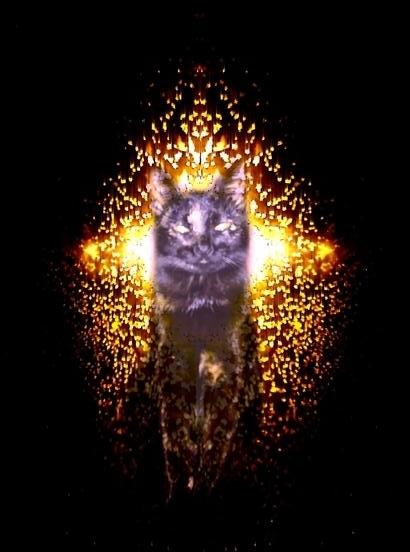 Адская Кошка