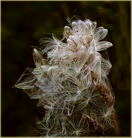 Твой маленький мир одинок и печален...