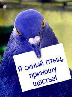 А мы встретились вчера