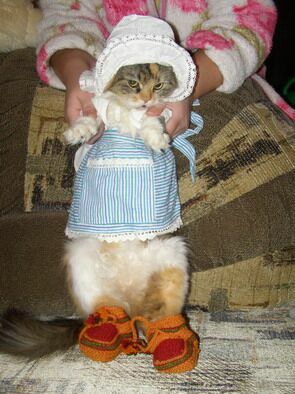 Кит у чоботах, или Диалог с Кассиопеей