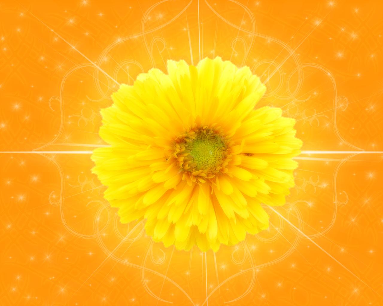 Мне светит солнце