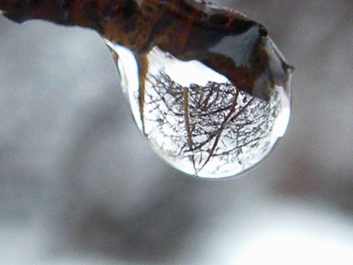 Весенние зарисовки