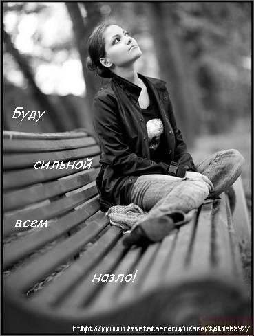 Моя налаженная жизнь