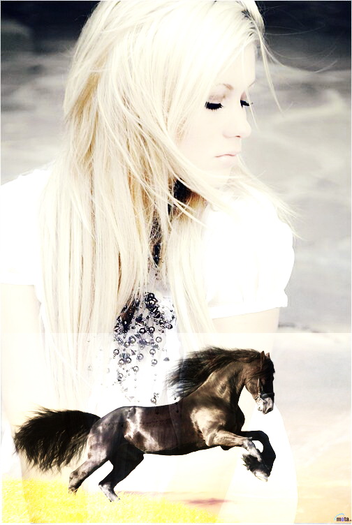 Чёрный конь