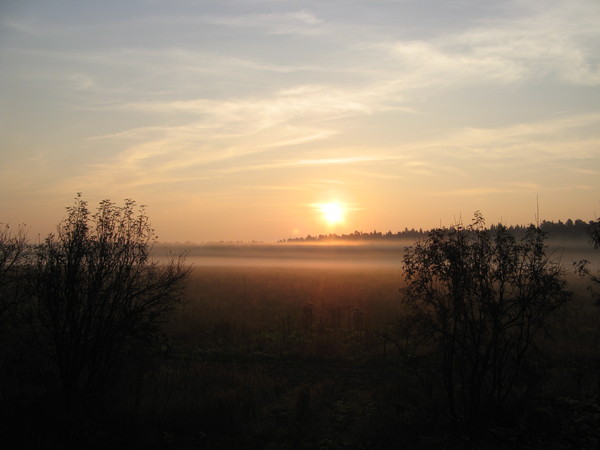 Я тебя разбужу с зарей...