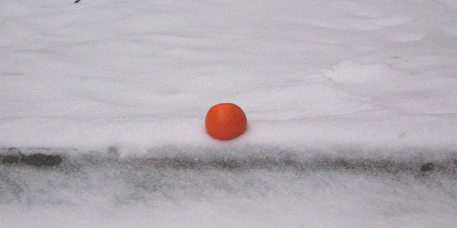 Воспоминания невоспитанного