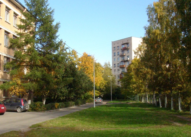 Меня спросили почему...