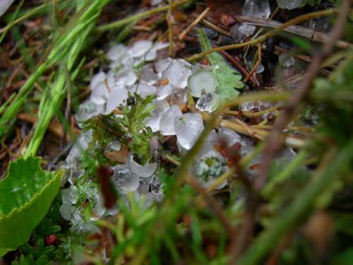 Завтра уже весна