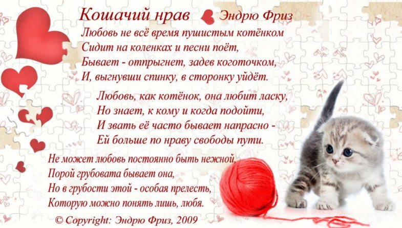 День котов стихи. Стихи про кошачью любовь. Стих про кошку. Стих для кошки на день рождения. Стих про кота и кошку о любви.