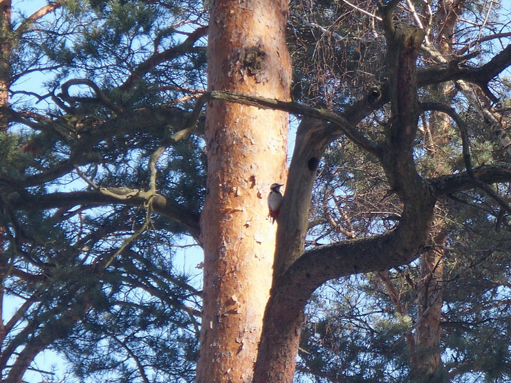 Когда умру, прошу - меня не бойся!