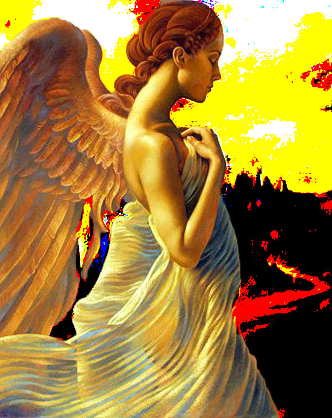 Война глазами ангела