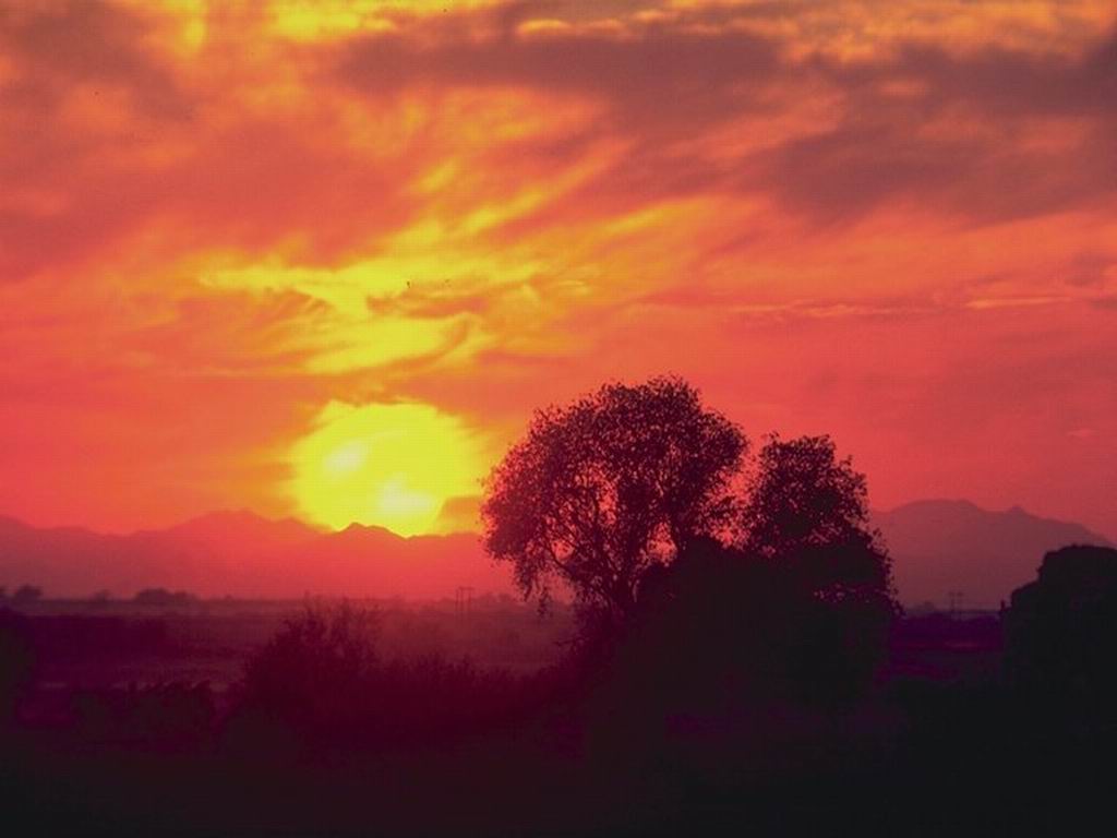 Бессонница