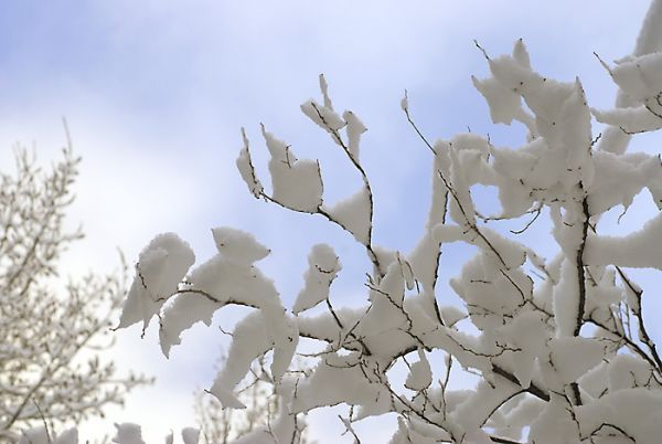 Мягкий солнца свет