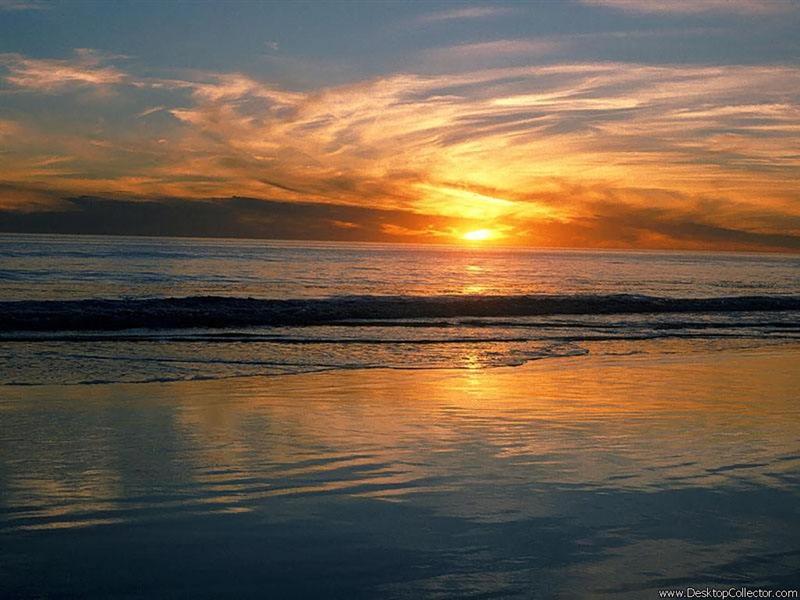 Частичка мира